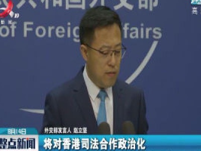 中方决定香港特区将暂停履行港德移交逃犯协定