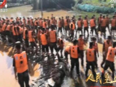 社会传真20200809【防汛特别节目《人民至上》（二）】筑起钢铁长城