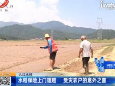 九江永修：水稻保险上门理赔 受灾农户的意外之喜