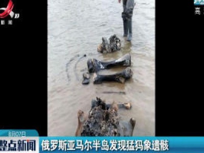 俄罗斯亚马尔半岛发现猛犸象遗骸