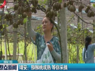 靖安：猕猴桃成熟 等你采摘