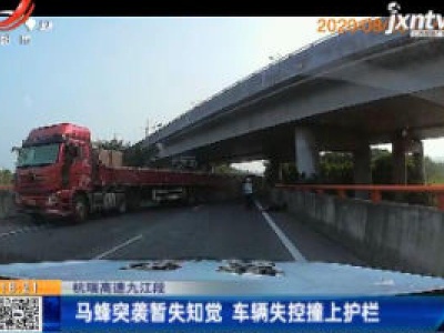 杭瑞高速九江段：马蜂突袭暂失知觉 车辆失控撞上护栏