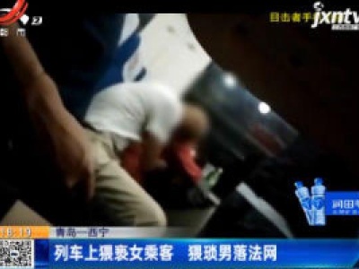 青岛——西宁：列车上猥亵女乘客 猥琐男落法网