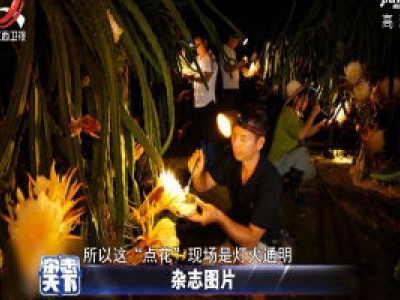 杂志天下20200814