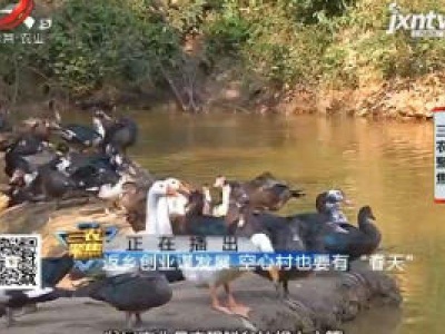 三农聚焦20200813 返乡创业谋发展 空心村也要有“春天”