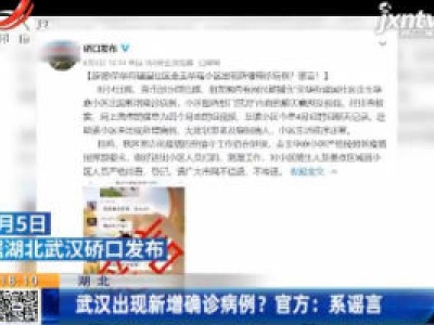 武汉出现新增确诊病例？官方：系谣言