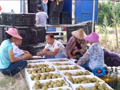 社会传真20200826 八个民族一条心 携手并进奔小康