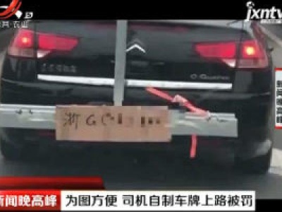 浙江：为图方便 司机自制车牌上路被罚