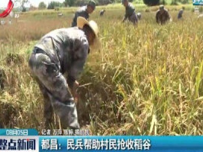 都昌：民兵帮助村民抢收稻谷