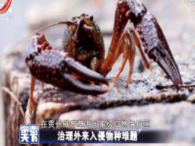 杂志天下20200807