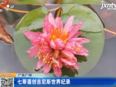 广东广州：七蒂莲创吉尼斯世界纪录