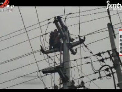 安徽：男子想掏鸟窝 被电击伤后困在高压塔上