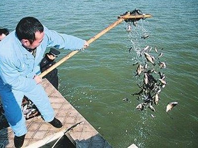 最高奖1万元 庐山西海对非法捕捞行为实行有奖举报