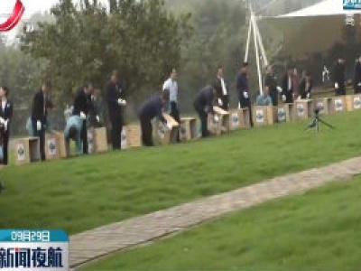 20只朱鹮放飞秦岭北麓