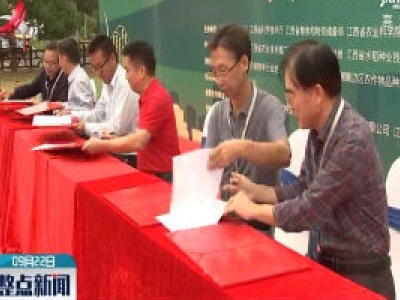 江西省加大扶持优质稻产业发展