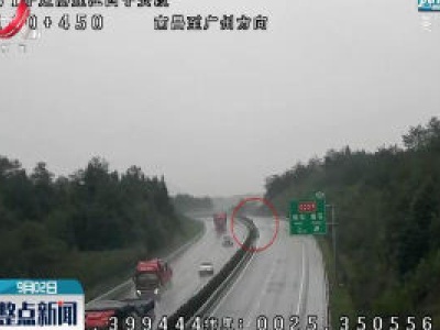 雨天不降速 危险！
