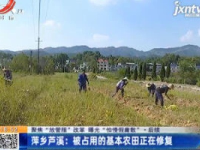 【聚焦“放管服”改革 曝光“怕慢假庸散” ·后续】萍乡芦溪：被占用的基本农田正在修复