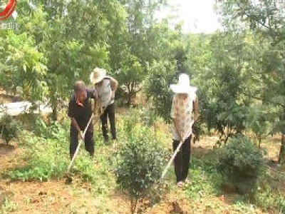江西返还上半年森林植被恢复费6.69亿元