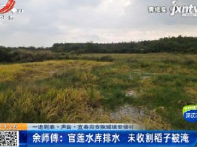 【一追到底·声音】宜春高安独城镇安墉村·余师傅：官莲水库排水 未收割稻子被淹
