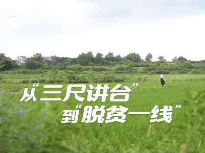 短视频丨从“三尺讲台”到“脱贫一线”