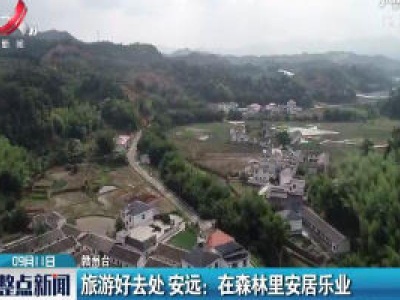 旅游好去处 安远：在森林里安居乐业