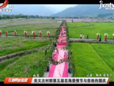 南昌：安义古村群第五届花海爱情节与您相约国庆