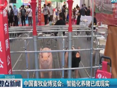 中国畜牧业博览会：智能化养猪已成现实
