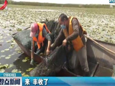中国最大内陆淡水湖：初秋蟹儿肥