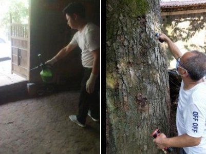 灭白蚁 解民忧
