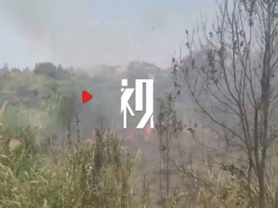 江西南昌：一天四起！草地、灌木林火灾近期频发
