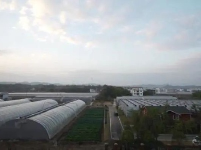 全面脱贫奔小康 喜庆丰收再出发！科技兴农 专家下乡助力农业发展！！  