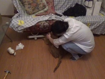 江西南昌：狗头险些不保 消防及时救助