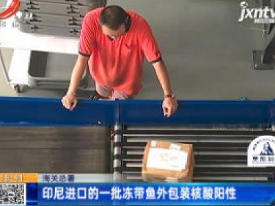 海关总署：印尼进口的一批冻带鱼外包装核酸阳性