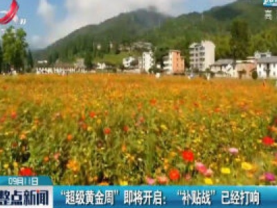 “超级黄金周”即将开启：“补贴战”已经打响