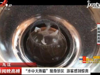 九江：“水中大熊猫”现身景区 游客感到惊喜