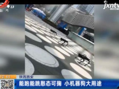 陕西西安：能跑能跳憨态可掬 小机器狗大用途