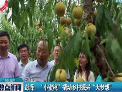 彭泽：“小蜜桃”撬动乡村振兴“大梦想”