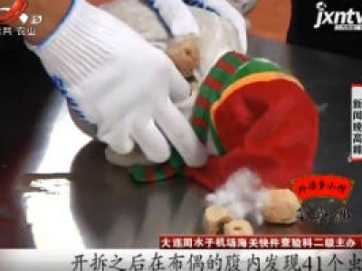 辽宁：小玩偶内藏玄机 数千虫卵藏其中