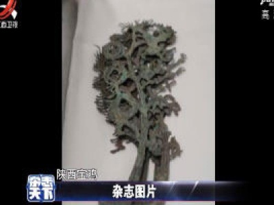 陕西一座东汉墓当中发现青铜摇钱树