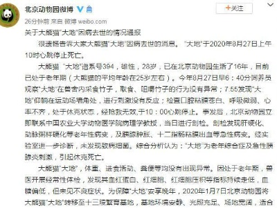 北京动物园28岁大熊猫“大地”因病去世