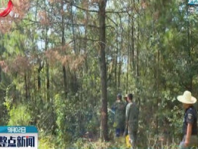 抚州东乡：计划三年投资1600万防治松材线虫病