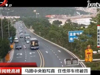 青岛：马路中央拍写真 任性停车终被罚