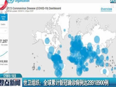 世卫组织：全球累计新冠确诊病例达28918900例