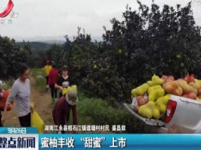 湖南：蜜柚丰收“甜蜜”上市