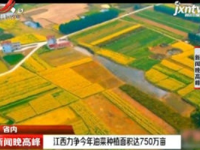 江西力争2020年油菜种植面积达750万亩