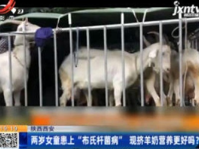 陕西西安：两岁女童患上“布氏杆菌病” 现挤羊奶营养更好吗？