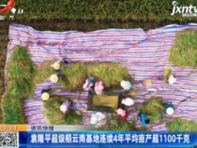 袁隆平超级稻云南基地连续4年平均亩产超1100千克