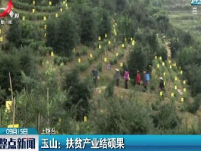 玉山：扶贫产业结硕果