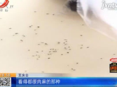 南昌：卖的山竹里有蚂蚁 百果园回应 “很正常”