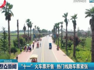 “十一”火车票开售 热门线路车票紧张